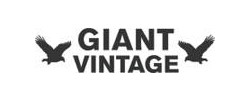 Giant Vintage