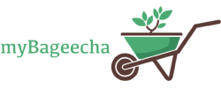 MyBageecha